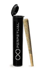 Perpetual Tangerine Punch #1 | 1g Pre-Roll