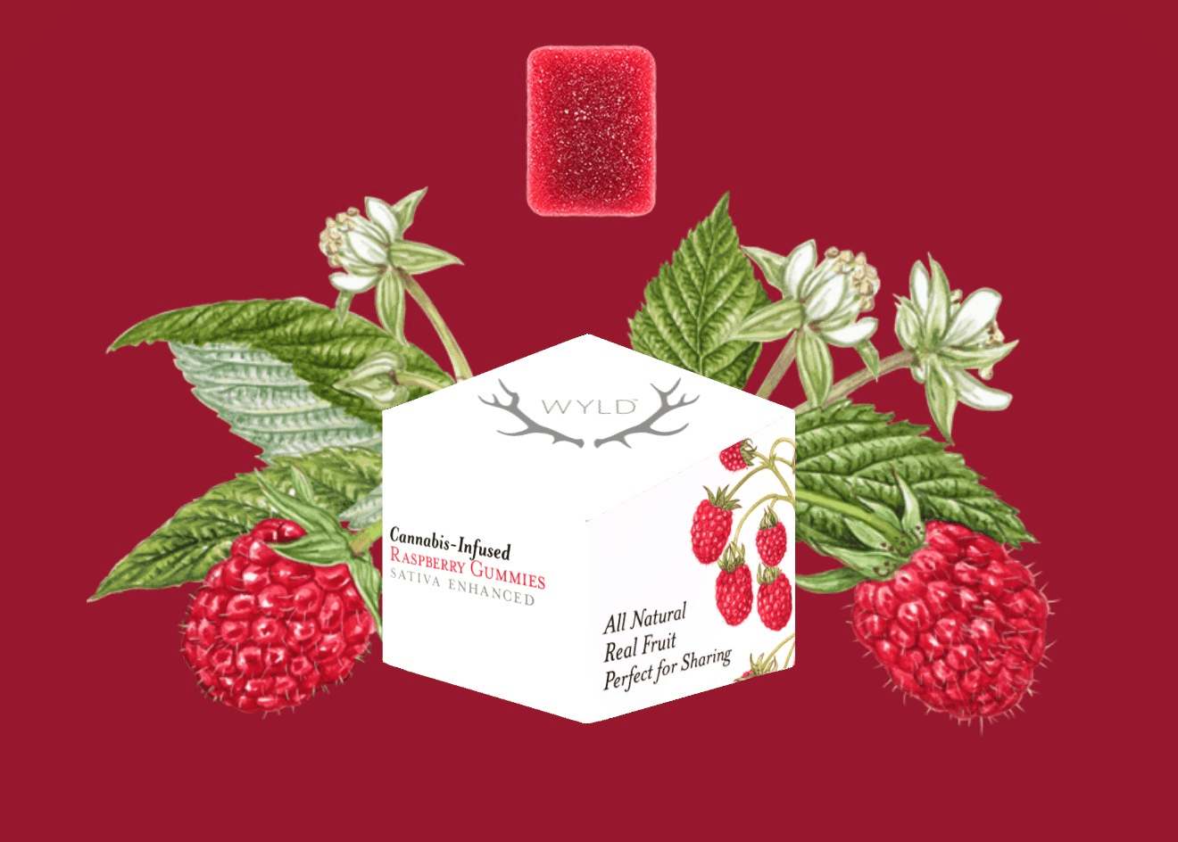 Wyld Gummies 100mg 10 Pack - Raspberry