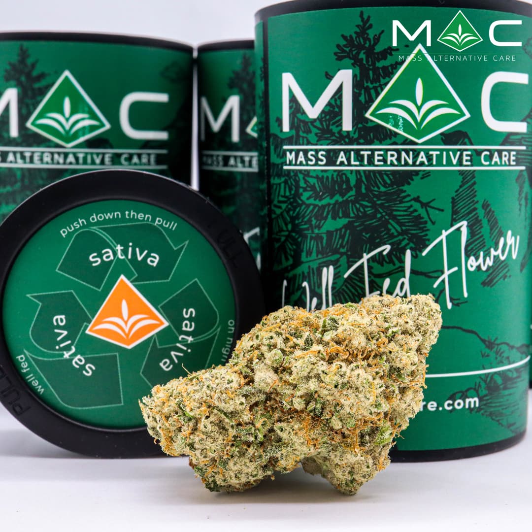 MAC Oranguava | Flower | 3.5g