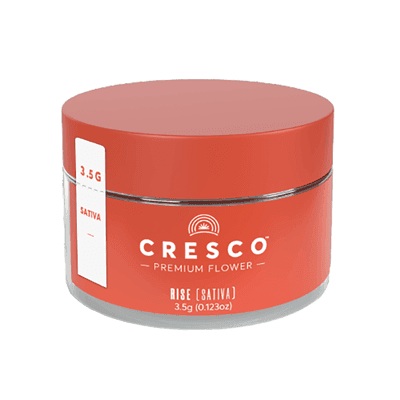 Cresco™ Pineapple Under the Sea