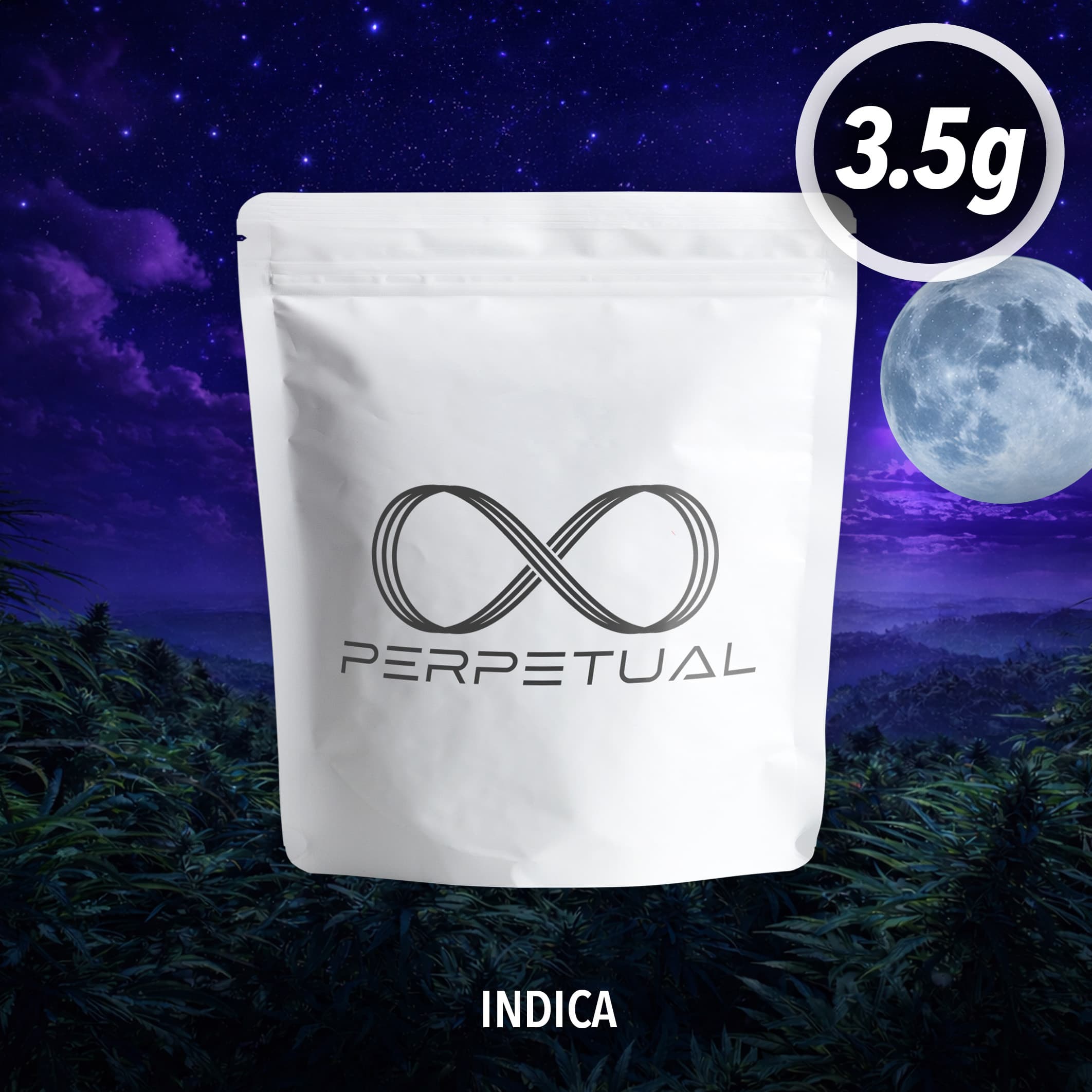 Perpetual Orange Cookies | Flower | 3.5g