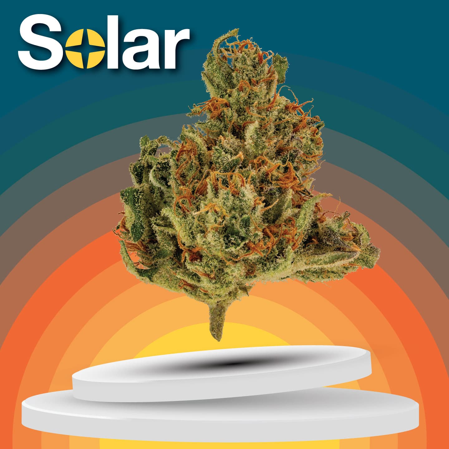 Solar Cannabis Co. Dumpster | Solar 2pk
