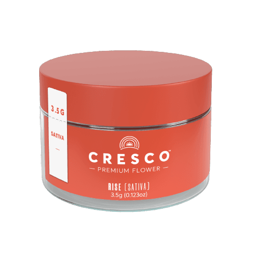 Cresco™ Pineapple Under the Sea Flower