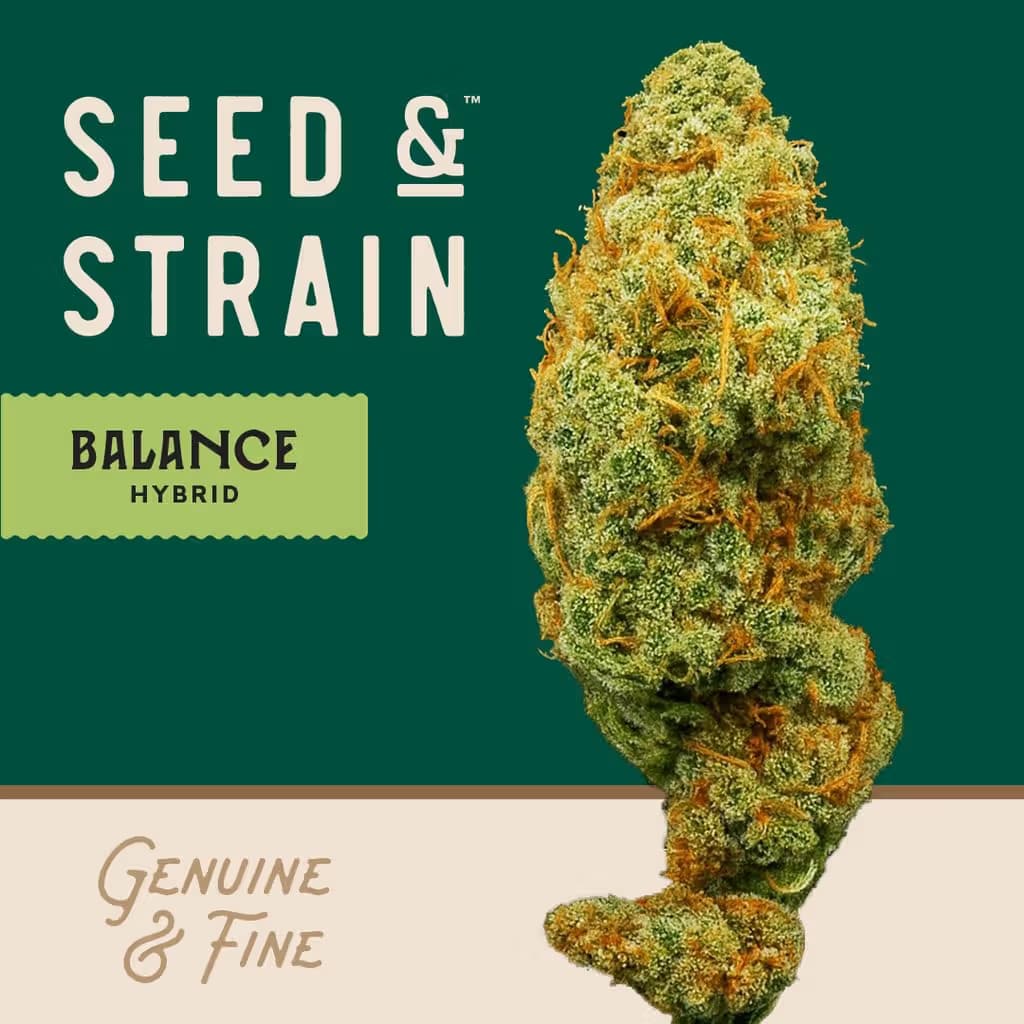 Seed & Strain