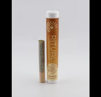 Ritual Mimosa Pre-Roll | Ritual |