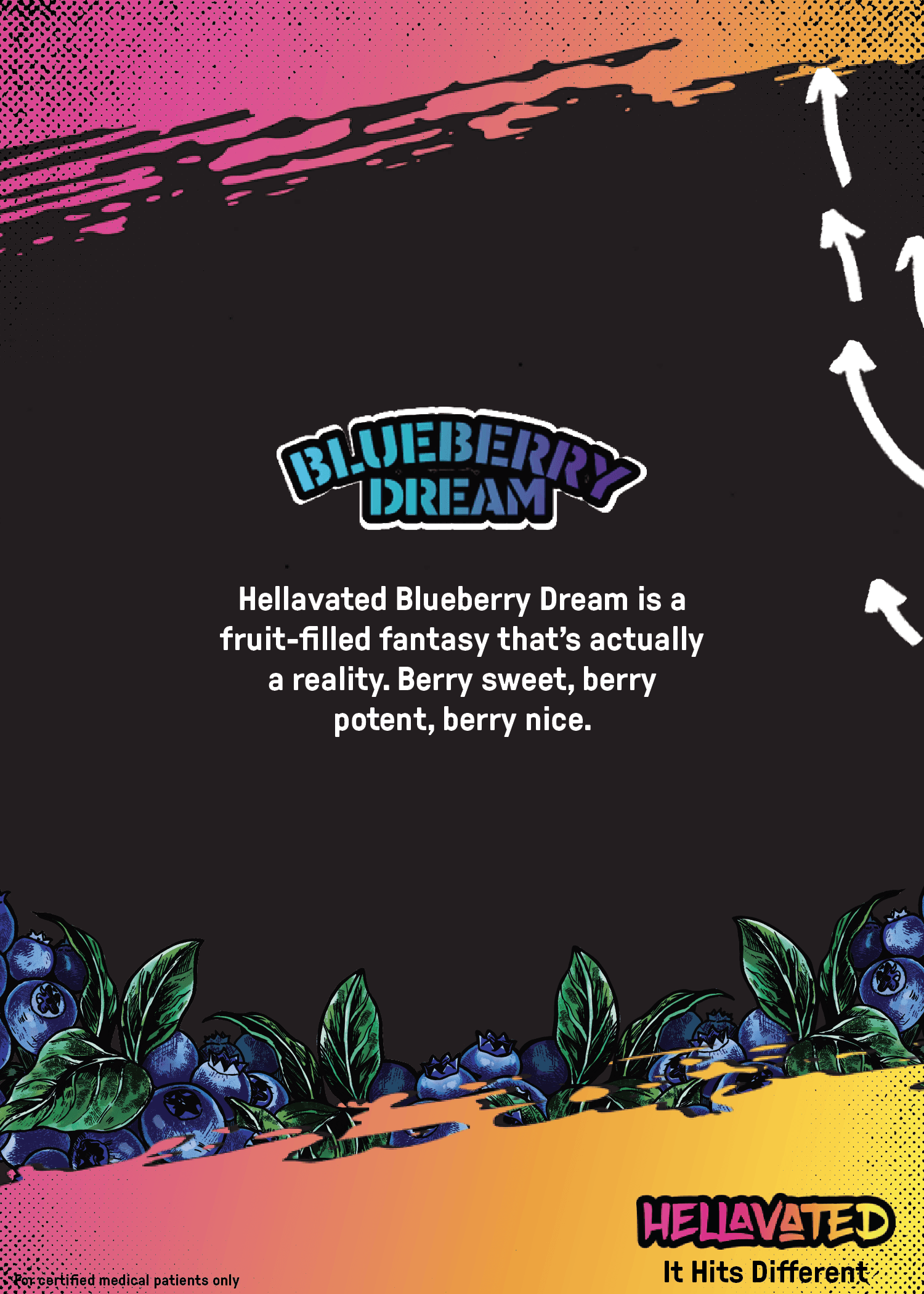 Hellavated Blueberry Dream Distillate Cartridge | 1g