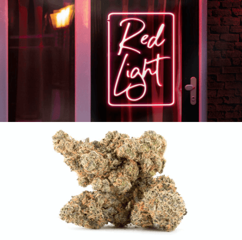 Cookies Red Light - 3.5g