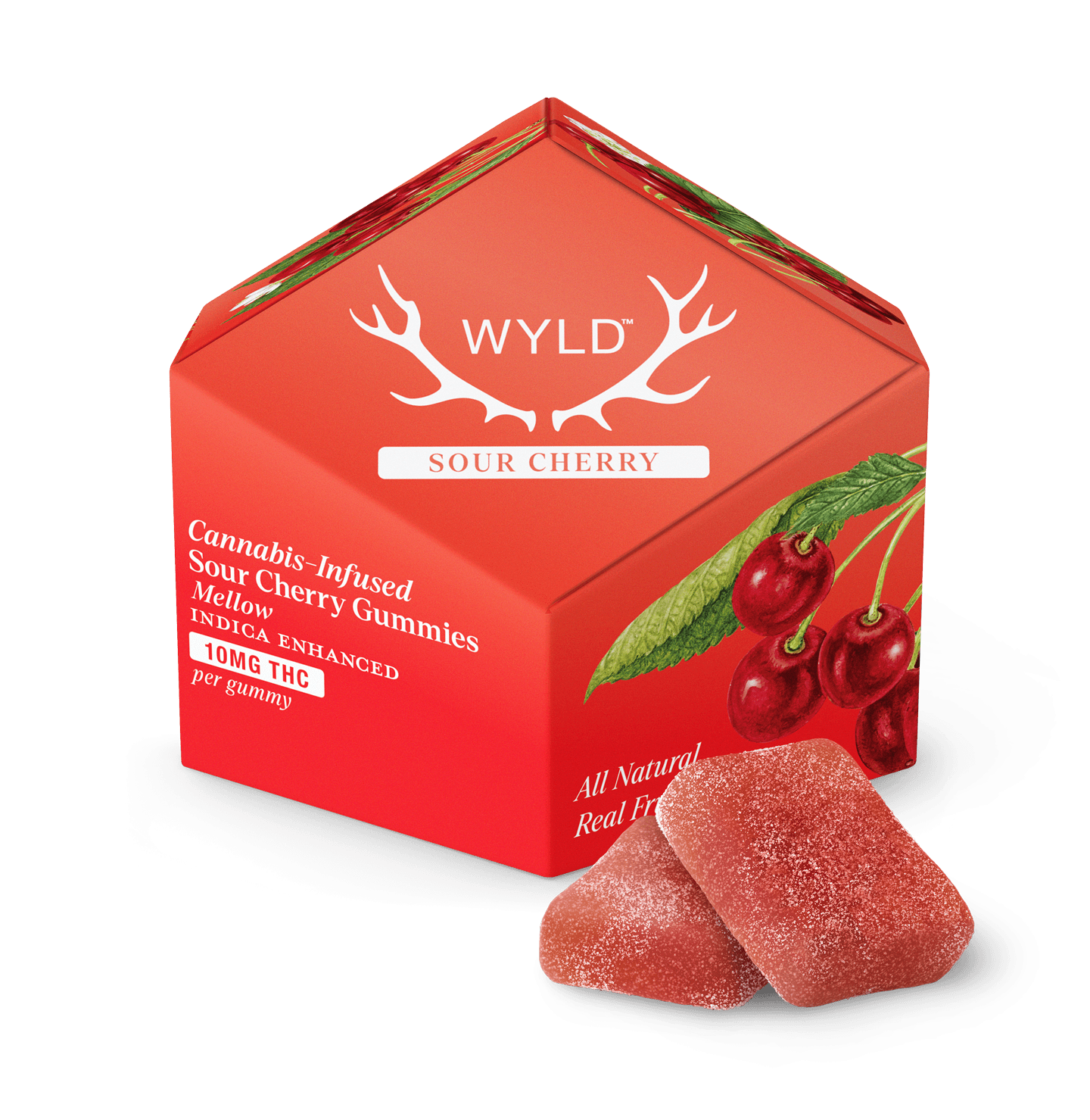 Wyld Sour Cherry | 10 x 10mg