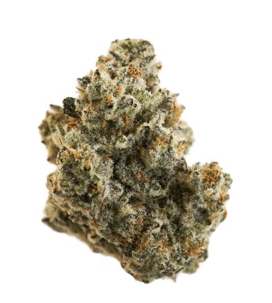 Small A$$ Bud