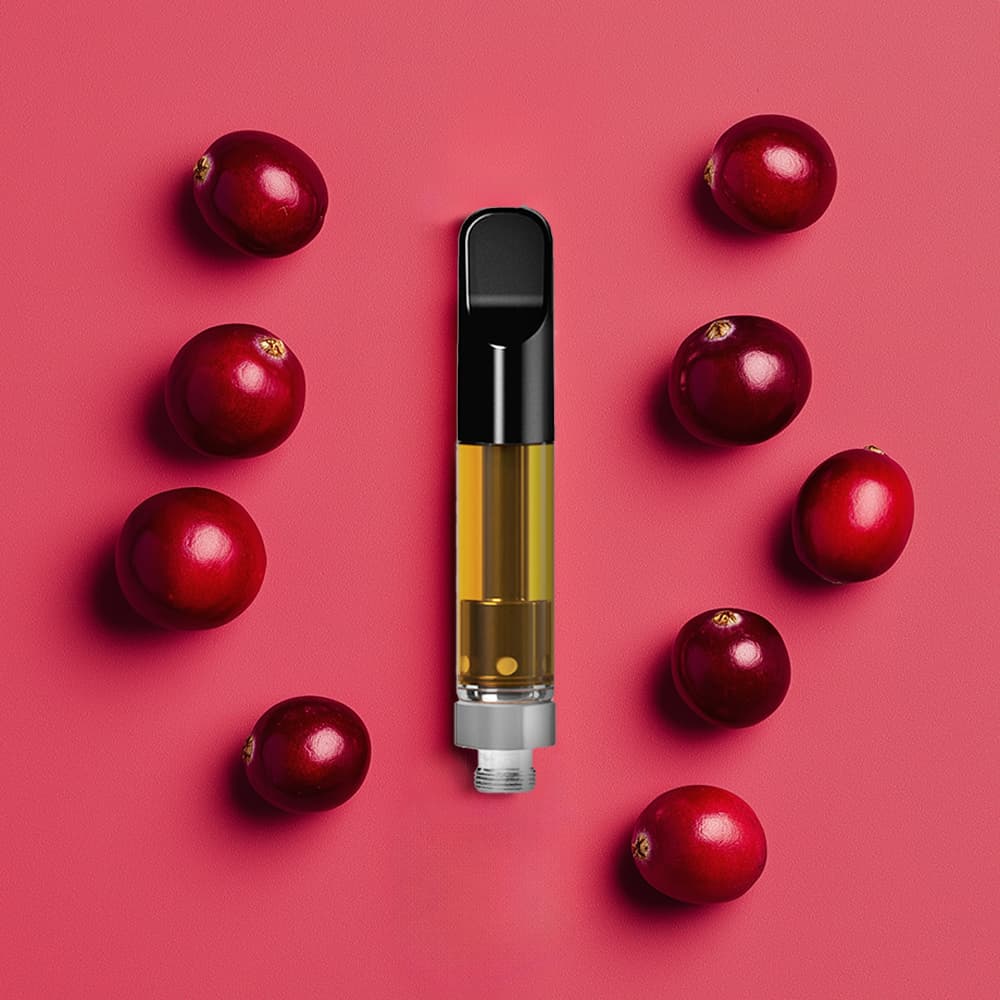 THEORYb THEORYb: Cranberry Cheer