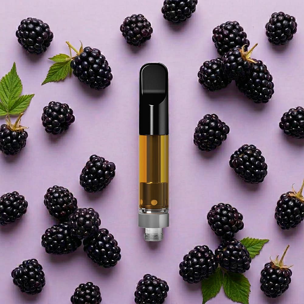 THEORYb THEORYb: Blackberry Boom