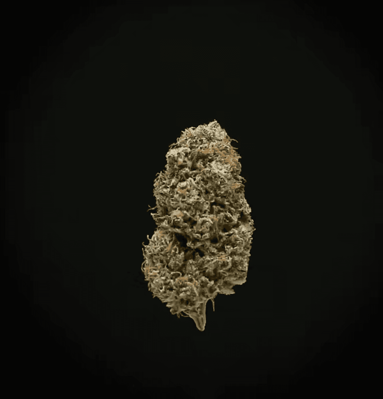 Stoner & Co Flower - 3.5 g - Garlic Crusher