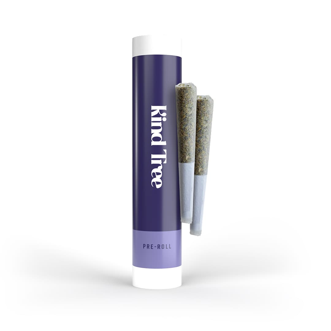 Kind Tree Cherry Slushee Pre-Rolls 2pk | 1g
