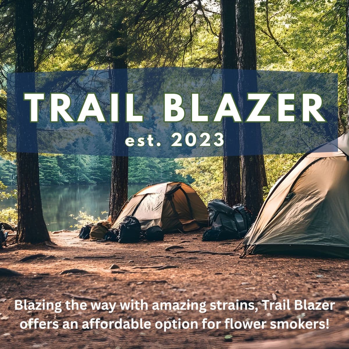 Trailblazer Orange Julius 3.5g