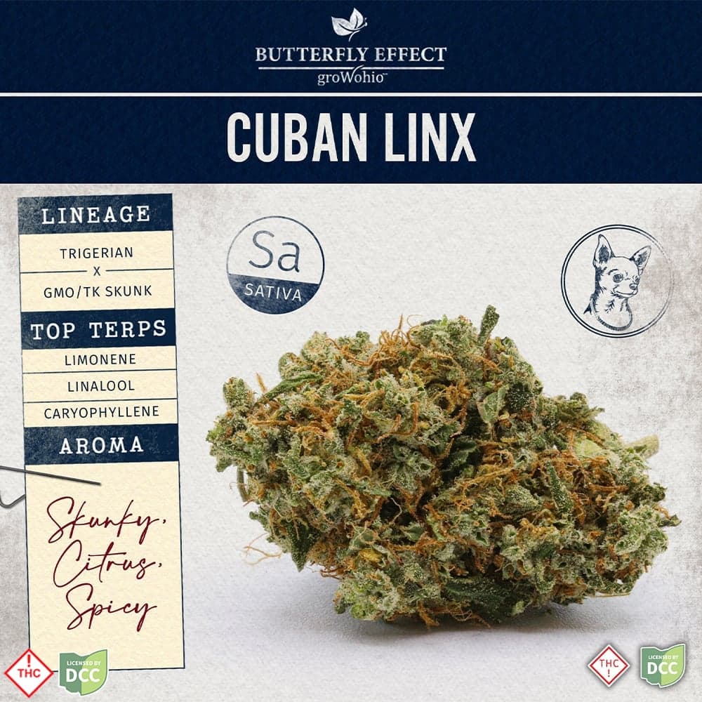 Butterfly Effect Cuban Linx