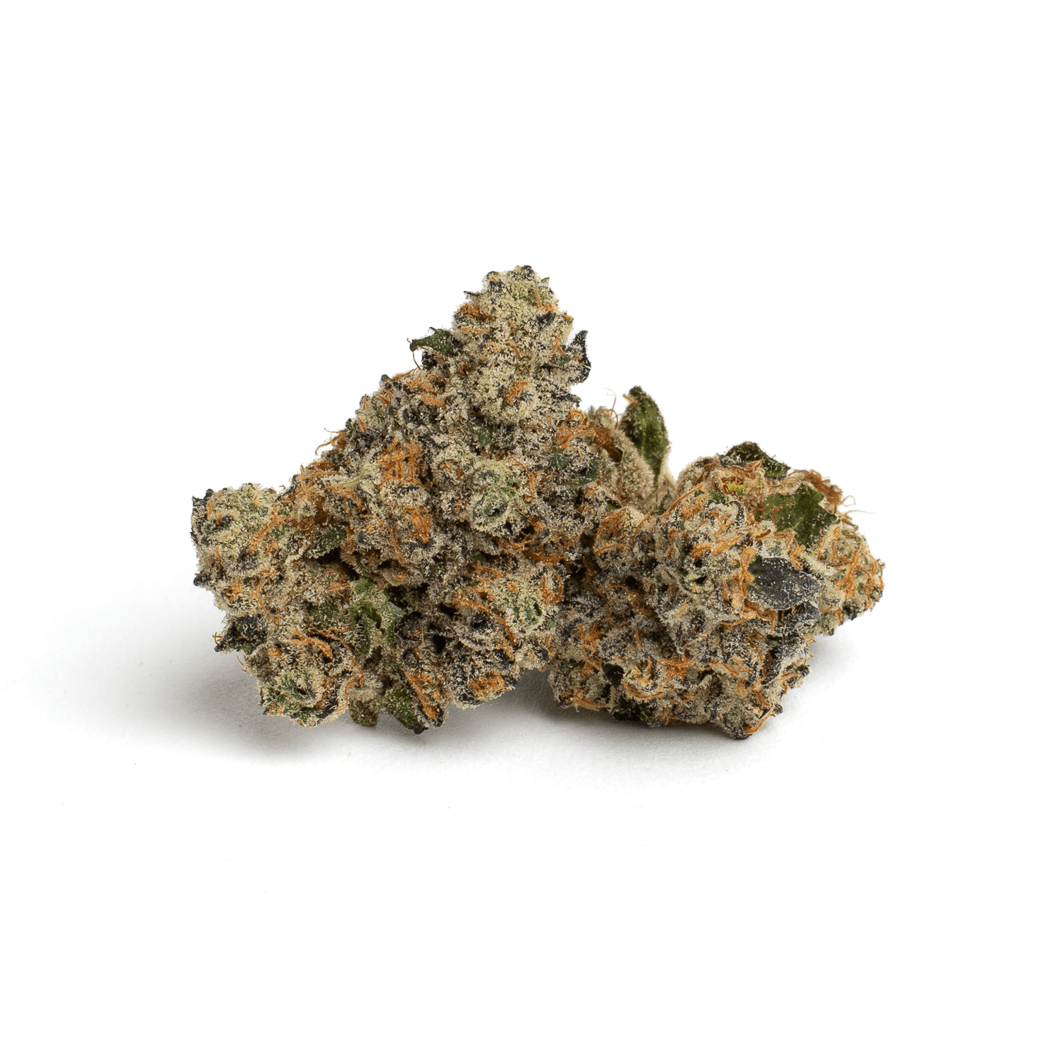 Kind & Co. Black Maple : Kind & Co