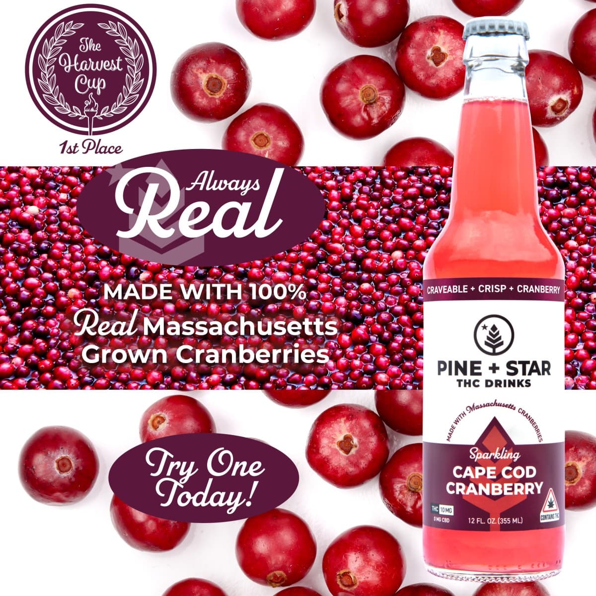 Pine + Star Beverages