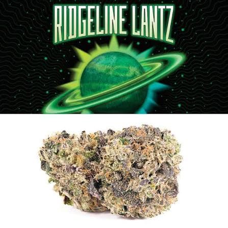 Cookies Ridgeline Lantz Flower | 3.5g