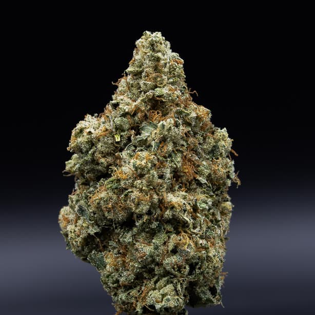 Firefly Organics Firefly Organics Pre-Roll Motorbreath 1 G