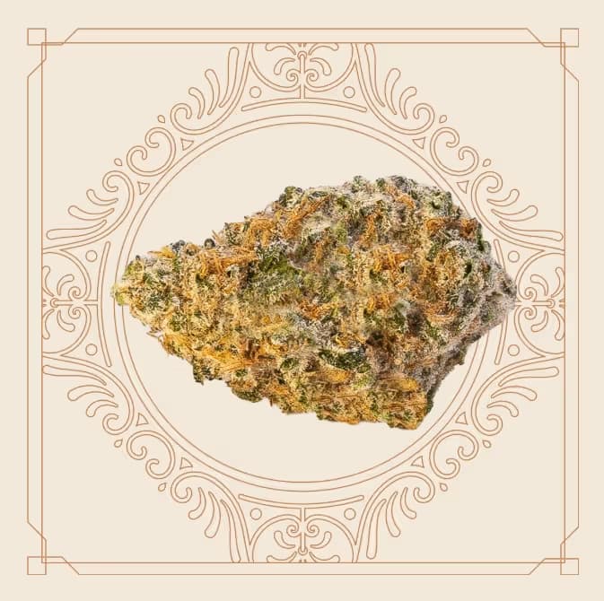 Elevate Flower