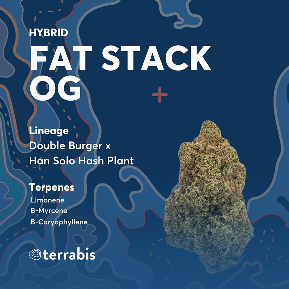Terrabis