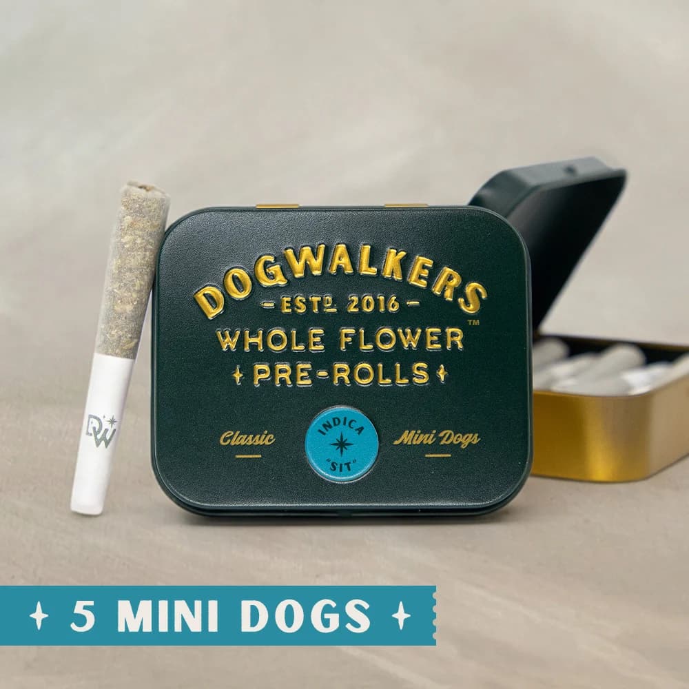 DOGWALKERS