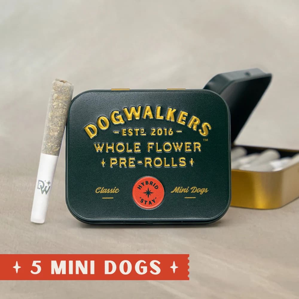 DOGWALKERS