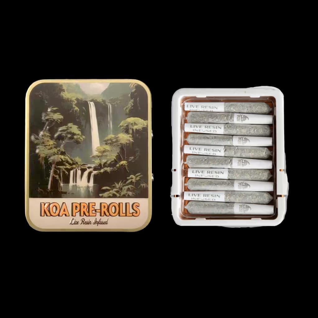 Koa Indica