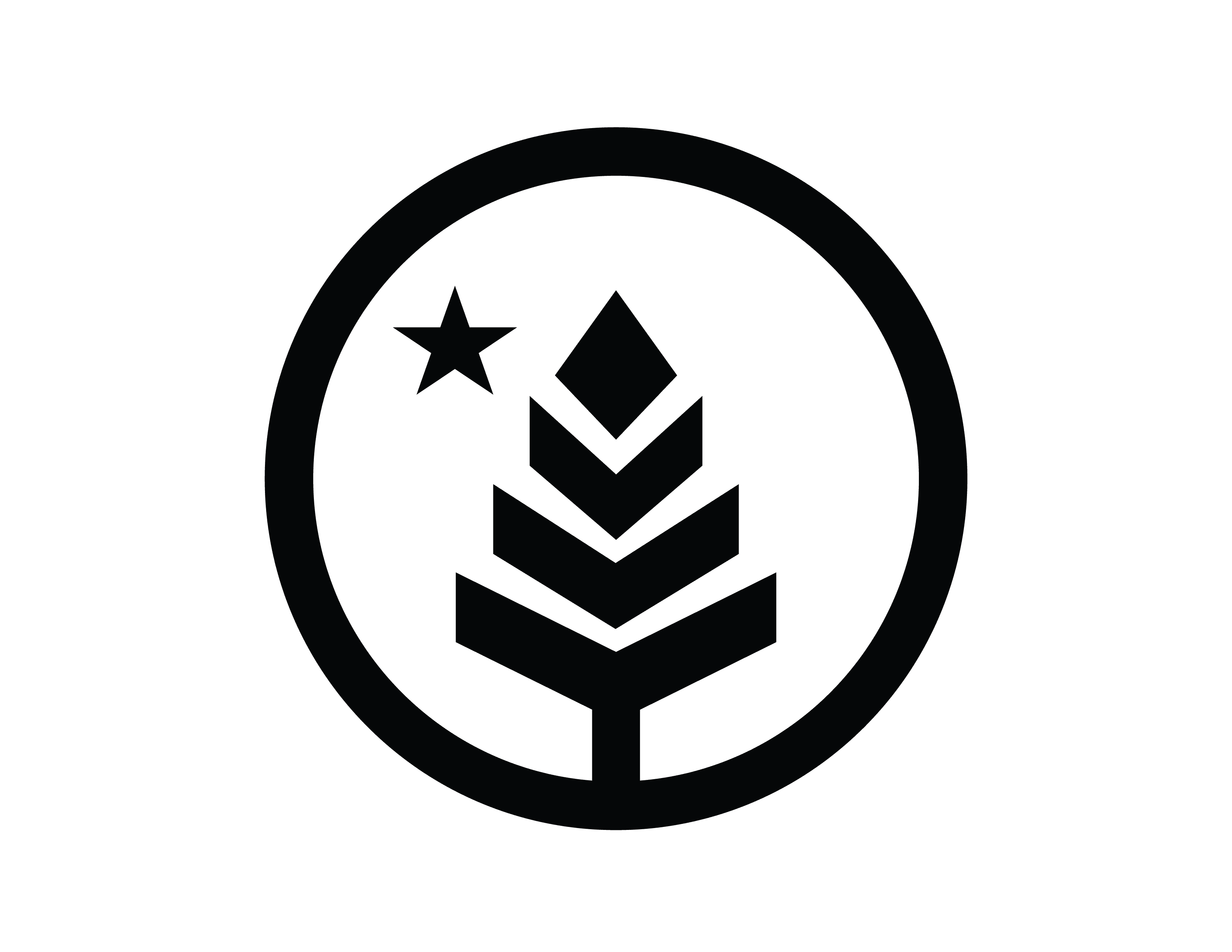 Pine + Star