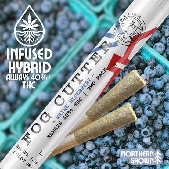 Fog Cutter Maine Blueberry