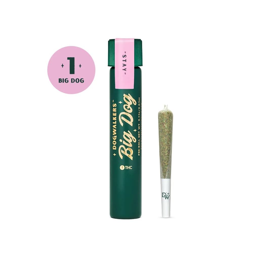 DOGWALKERS Gogurtz Stay Pre-Roll