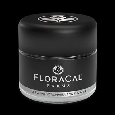 FloraCal Farms Blue Sapphire Flower