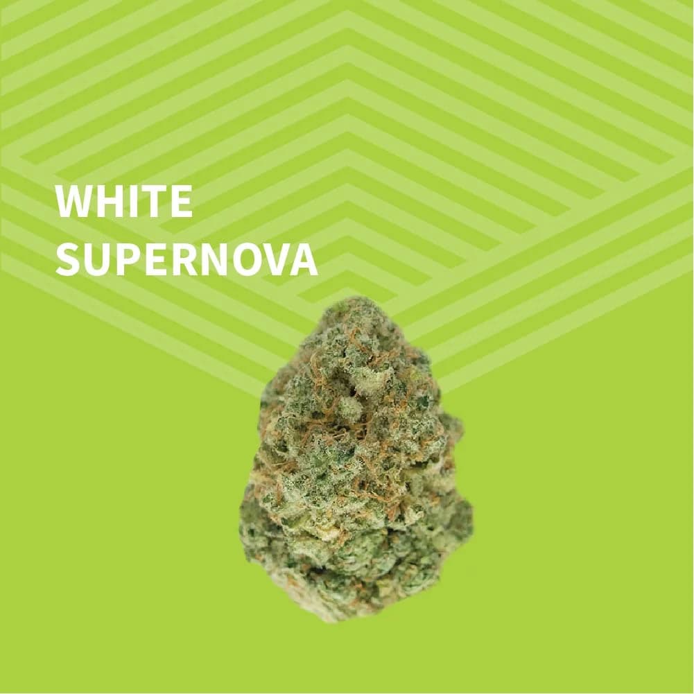 Pure Dakota White Supernova