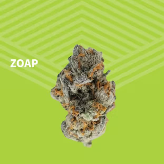Pure Dakota Zoap