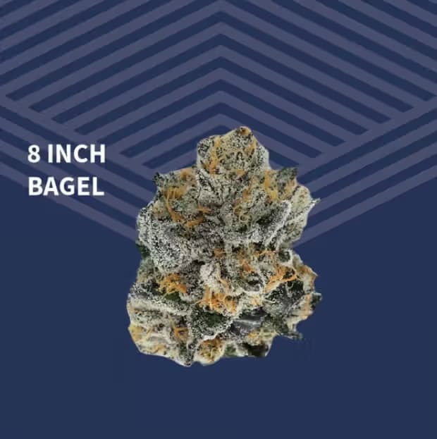Pure Dakota 8" Bagel