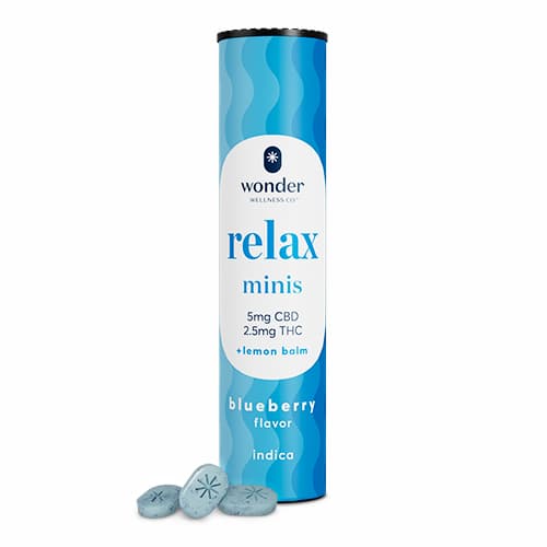 WONDER Relax 2:1 Blueberry Minis