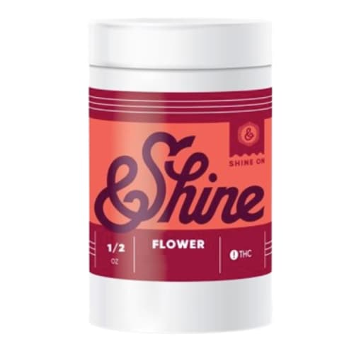 &Shine Crazy FaceBow Mixed Buds