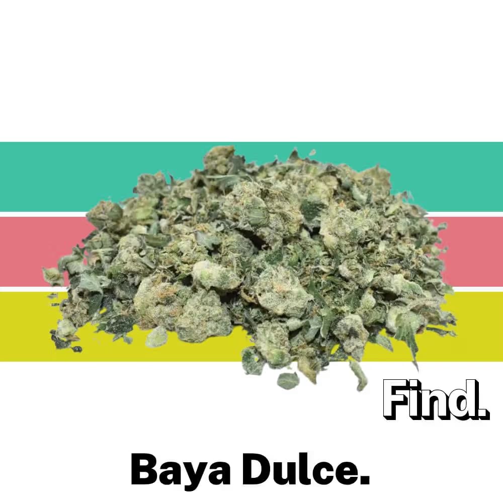 Find. Baya Dulce