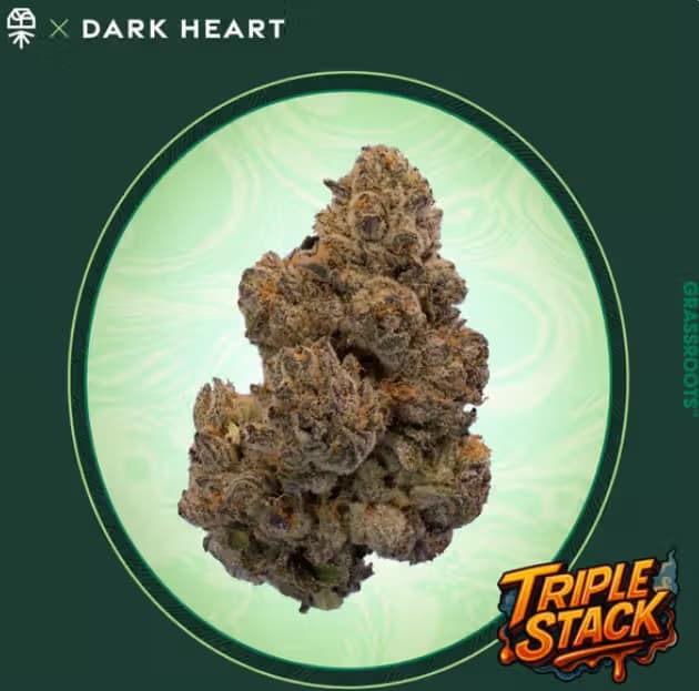 Dark Heart
