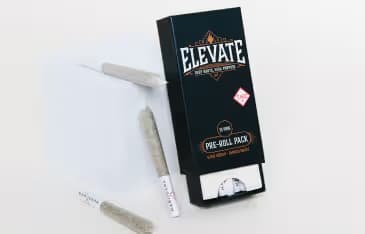 Elevate Grapefruit Durban Flower