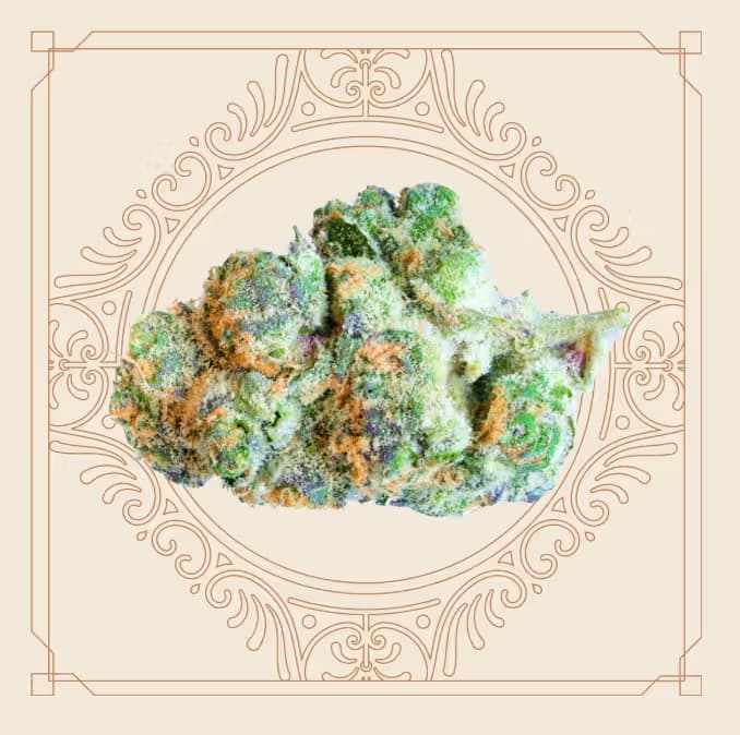 Elevate Flower