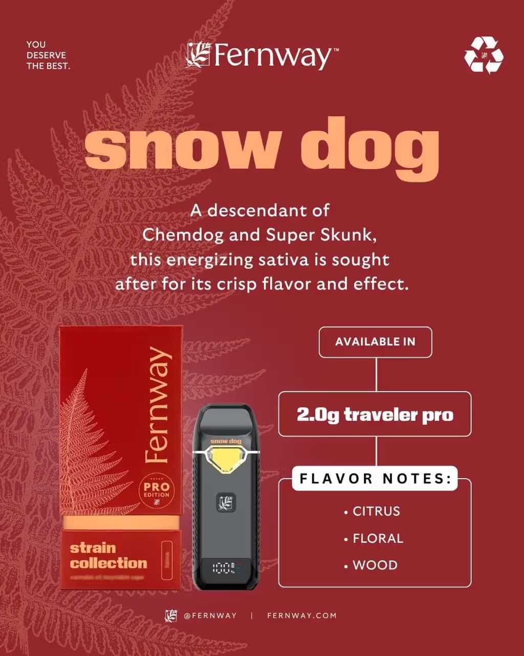 Fernway Snow Dog