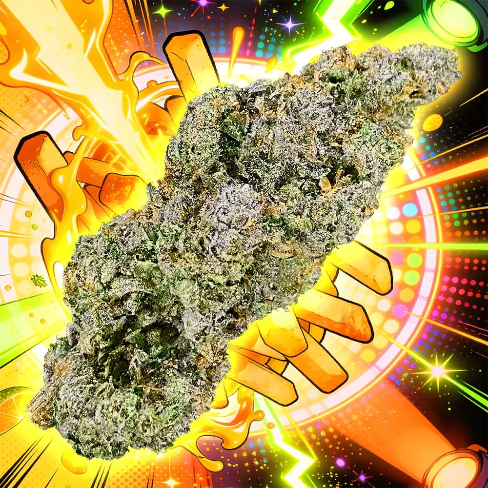 Flora FLORA Joint 1g: Disco Fries