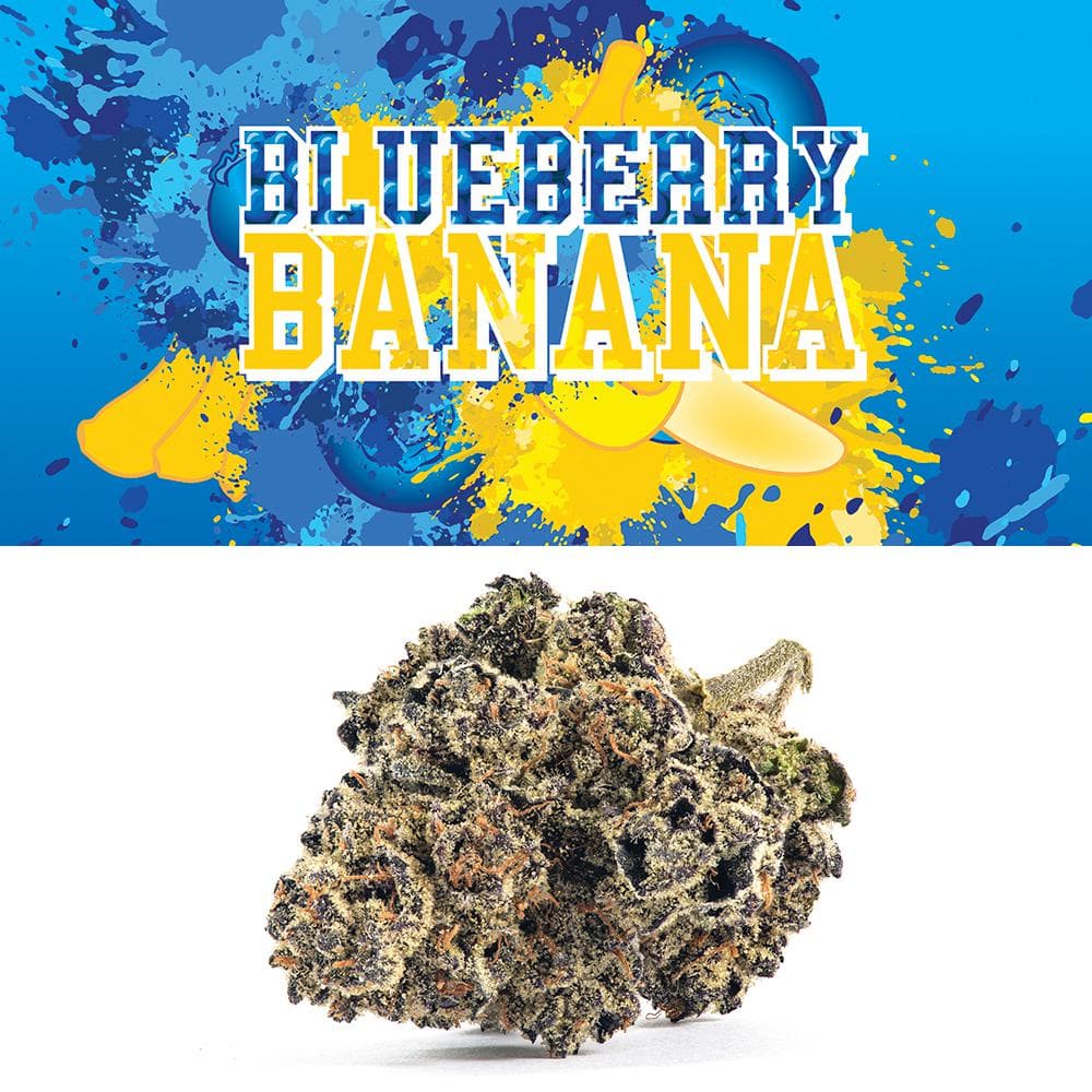 Cookies Blueberry Banana