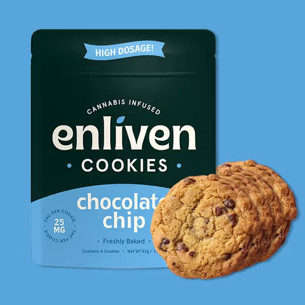 Enliven Chocolate Chip