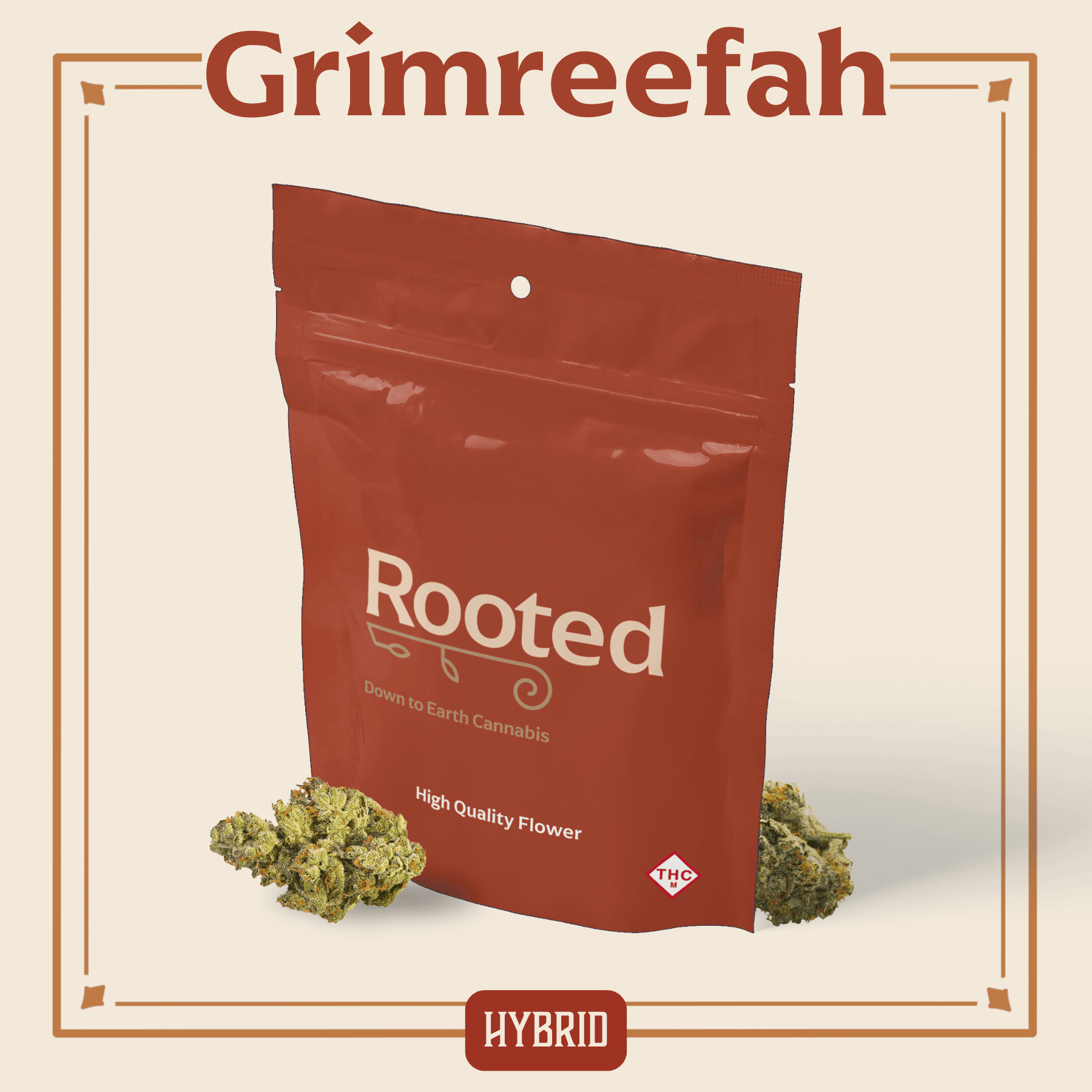 Rooted by Elevate
