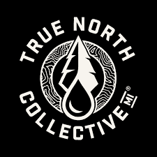 TRUE NORTH COLLECTIVE BLUEBERRY LEMON HAZE CURED RESIN GUMMIES 4X50MG