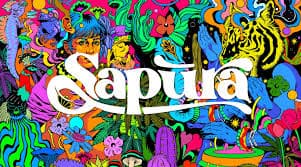 Sapura