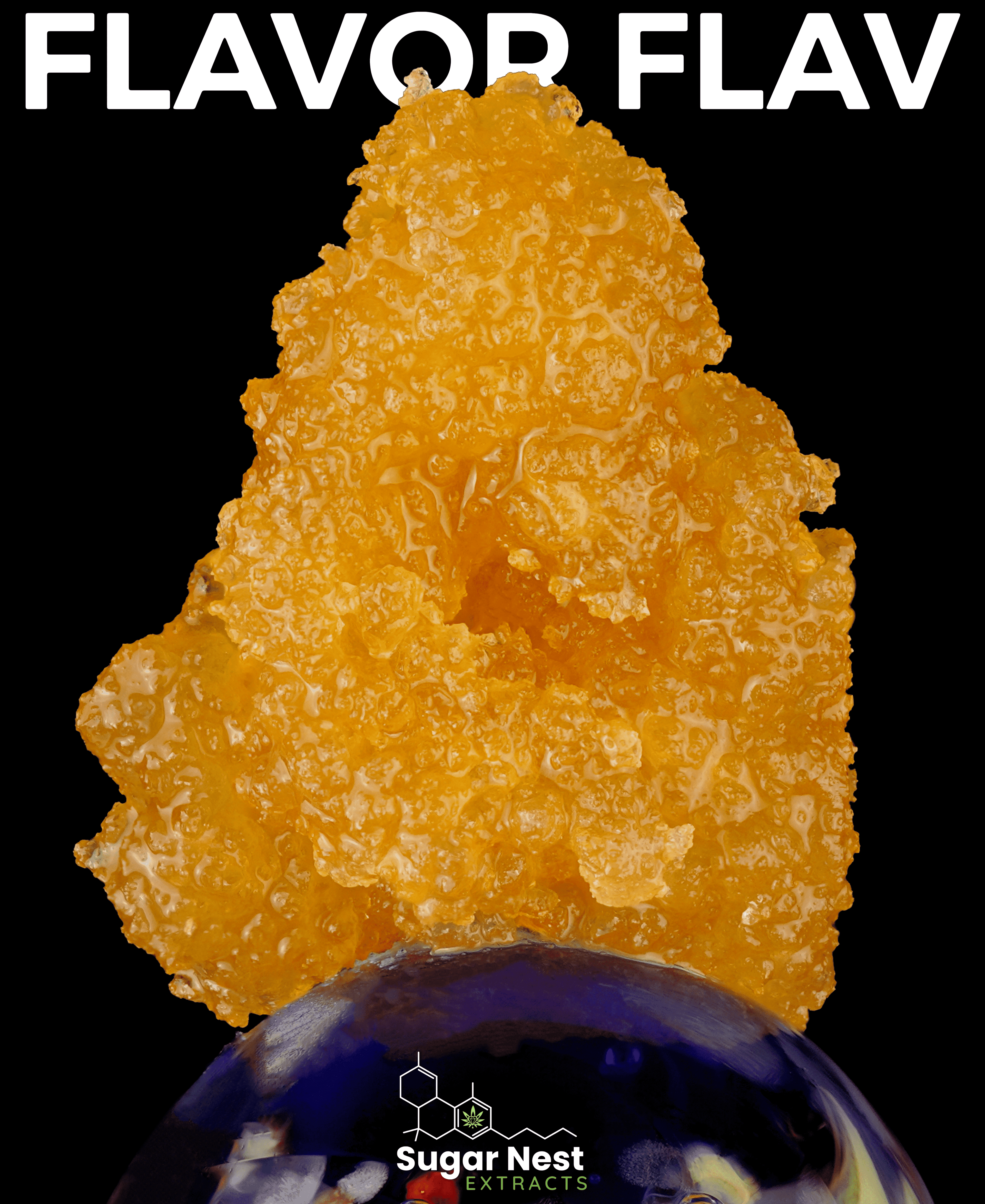 SugarNest Extracts