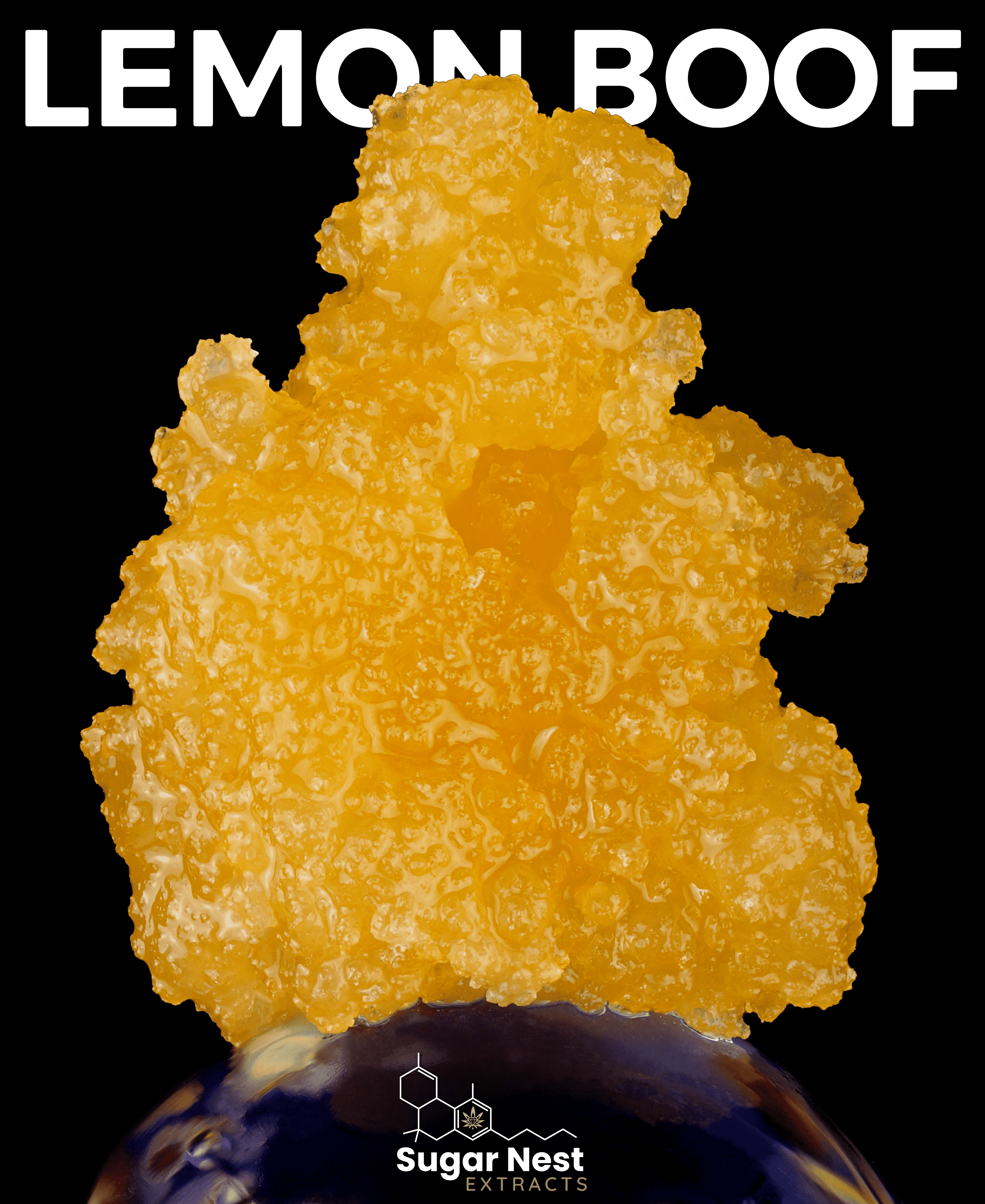 SugarNest Extracts